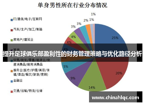 提升足球俱乐部盈利性的财务管理策略与优化路径分析