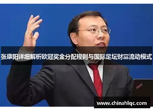 张康阳详细解析欧冠奖金分配规则与国际足坛财富流动模式