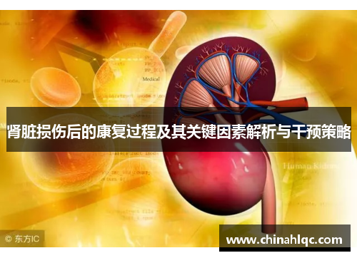 肾脏损伤后的康复过程及其关键因素解析与干预策略